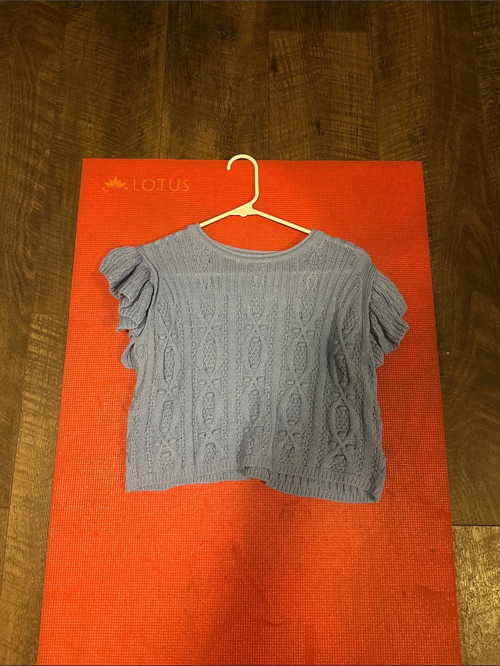 Blue Knit Ruffle Sleeve Top for Kids